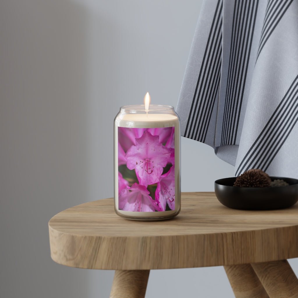 Soft Pinks - Scented Candle, 13.75oz - Visiting This World