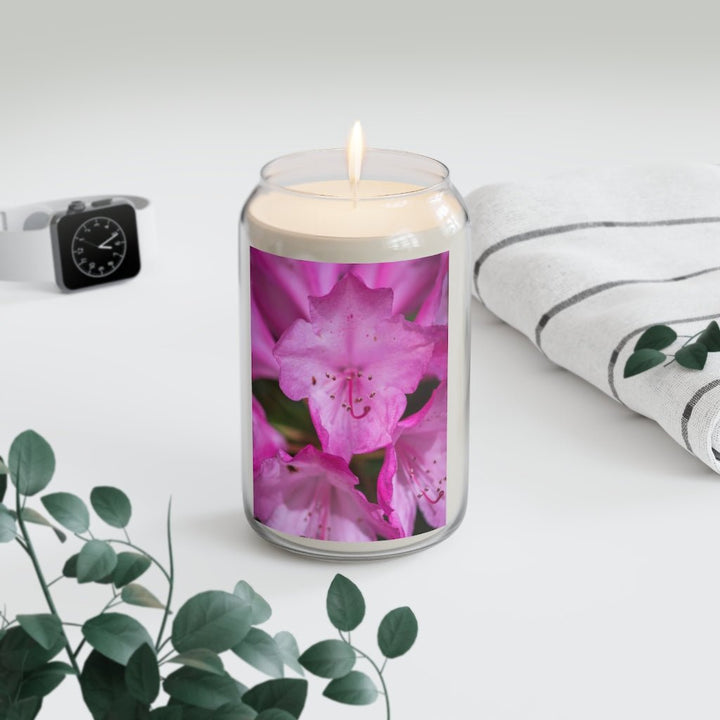 Soft Pinks - Scented Candle, 13.75oz - Visiting This World