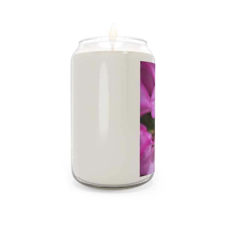 Soft Pinks - Scented Candle, 13.75oz - Visiting This World