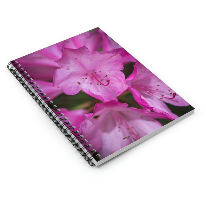 Soft Pinks - Spiral Ruled Line Notebook - Visiting This World