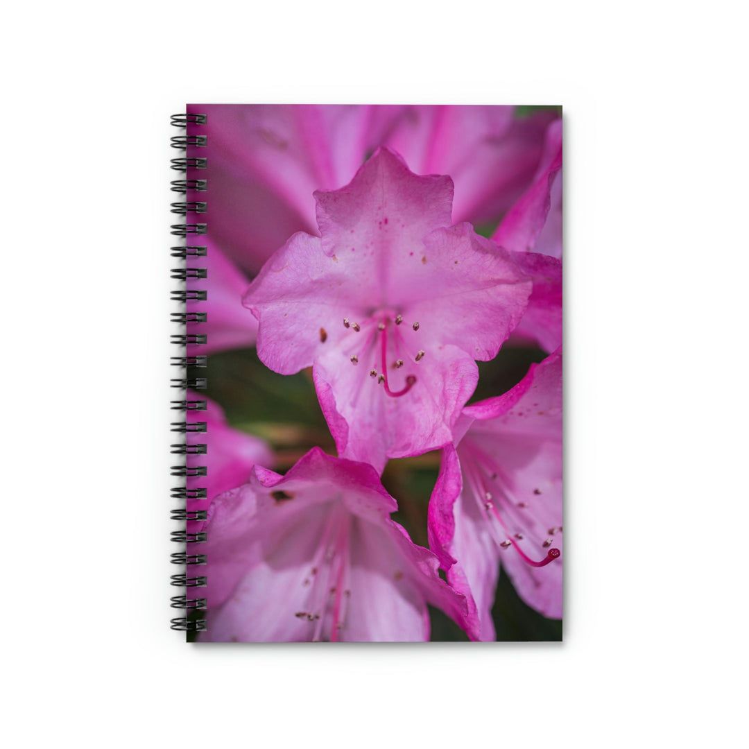 Soft Pinks - Spiral Ruled Line Notebook - Visiting This World