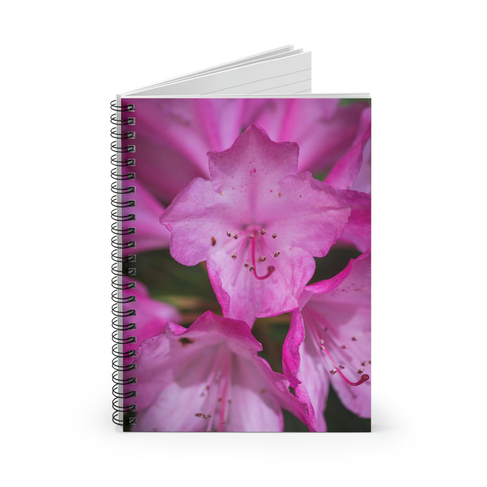 Soft Pinks - Spiral Ruled Line Notebook - Visiting This World