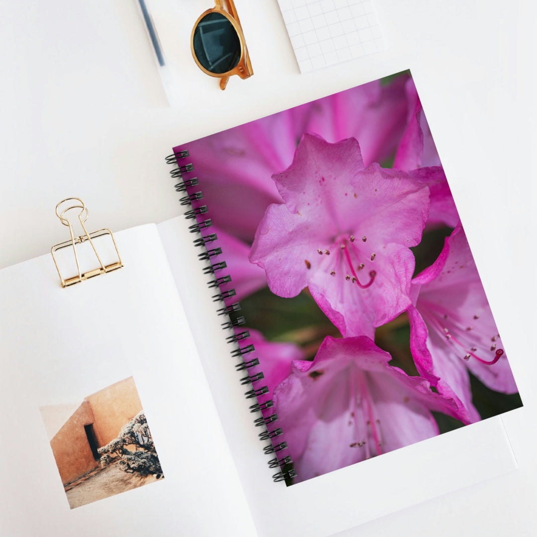 Soft Pinks - Spiral Ruled Line Notebook - Visiting This World