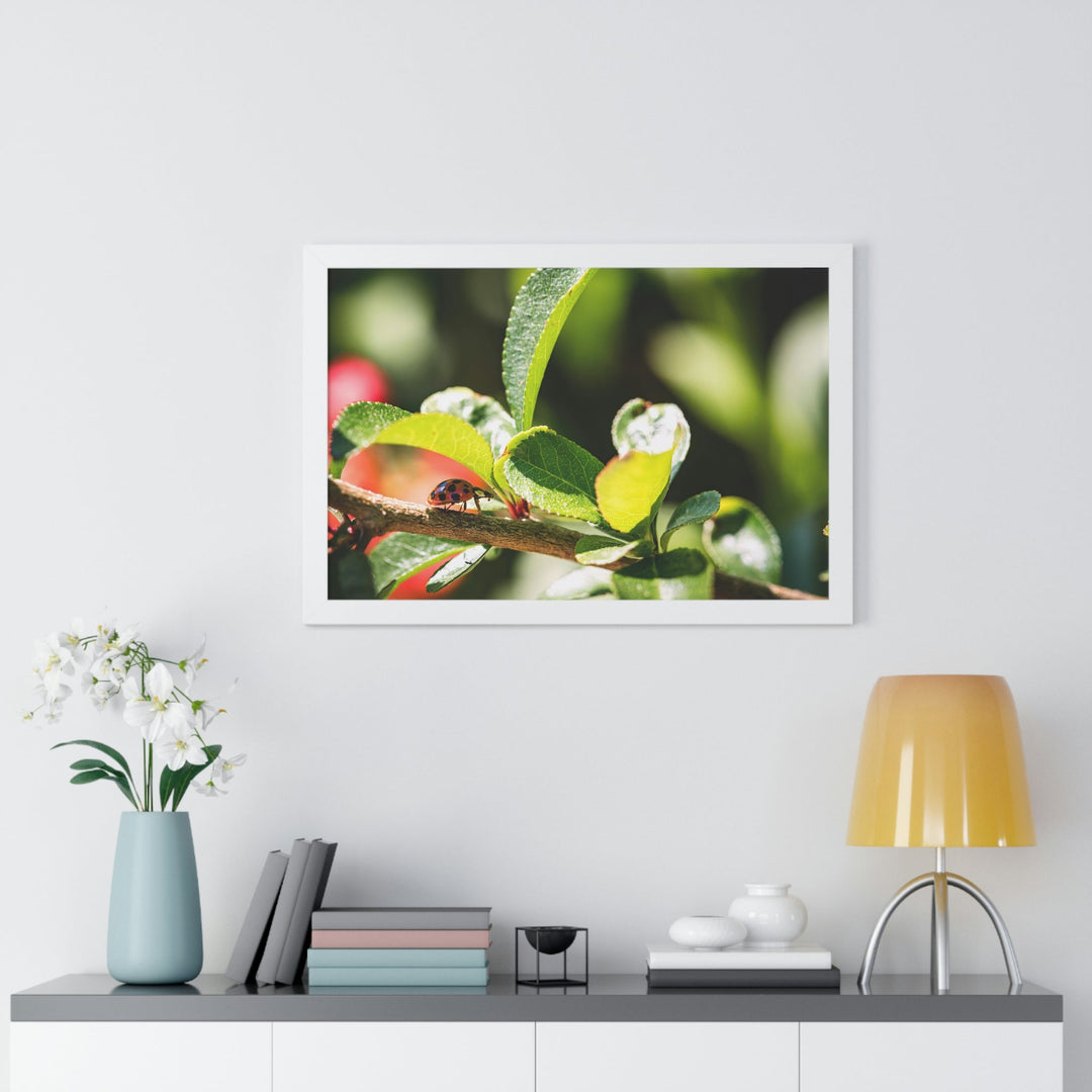 Spotted Investigation - Framed Print - Visiting This World