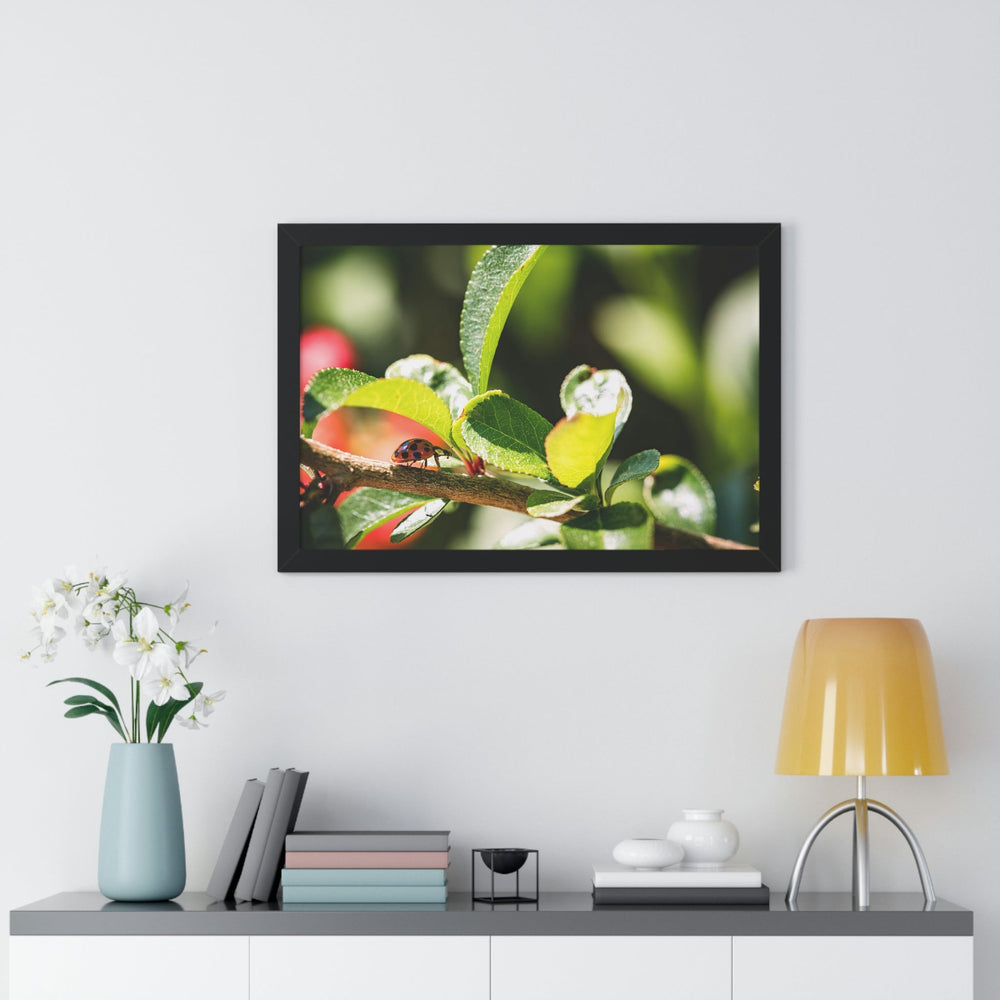 Spotted Investigation - Framed Print - Visiting This World