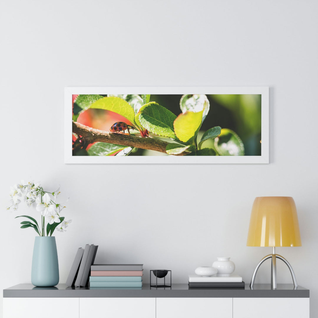 Spotted Investigation - Framed Print - Visiting This World