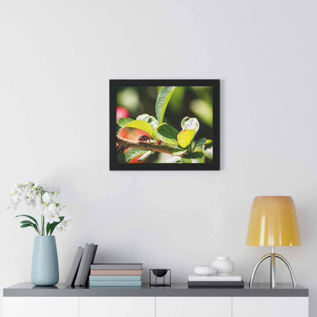 Spotted Investigation - Framed Print - Visiting This World