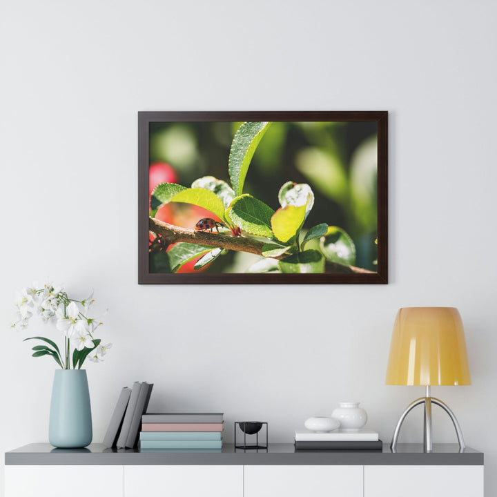 Spotted Investigation - Framed Print - Visiting This World