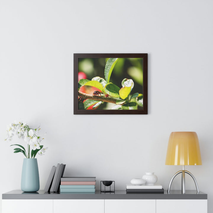 Spotted Investigation - Framed Print - Visiting This World