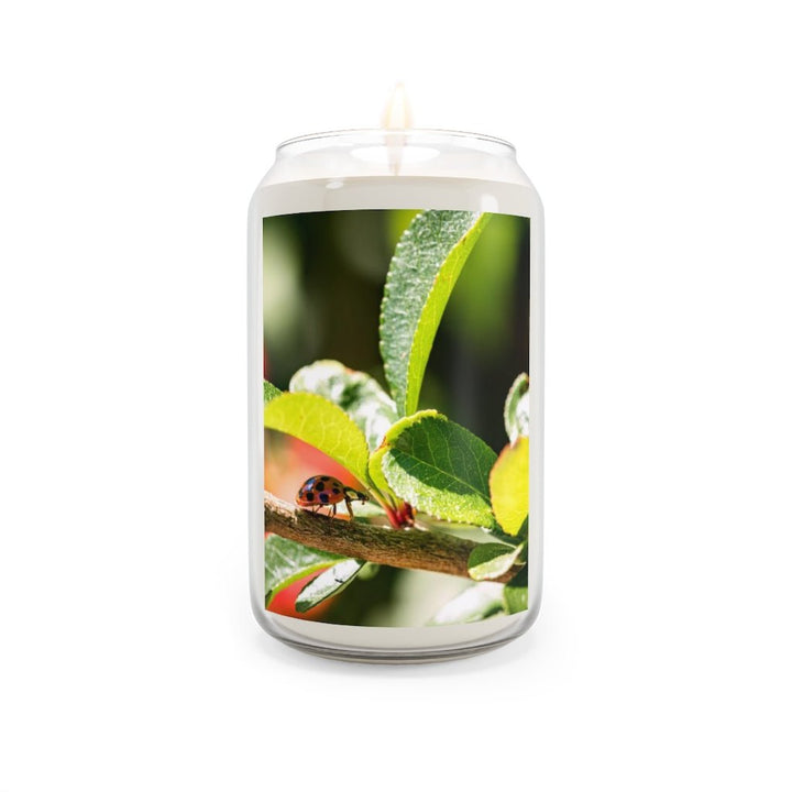 Spotted Investigation - Scented Candle, 13.75oz - Visiting This World