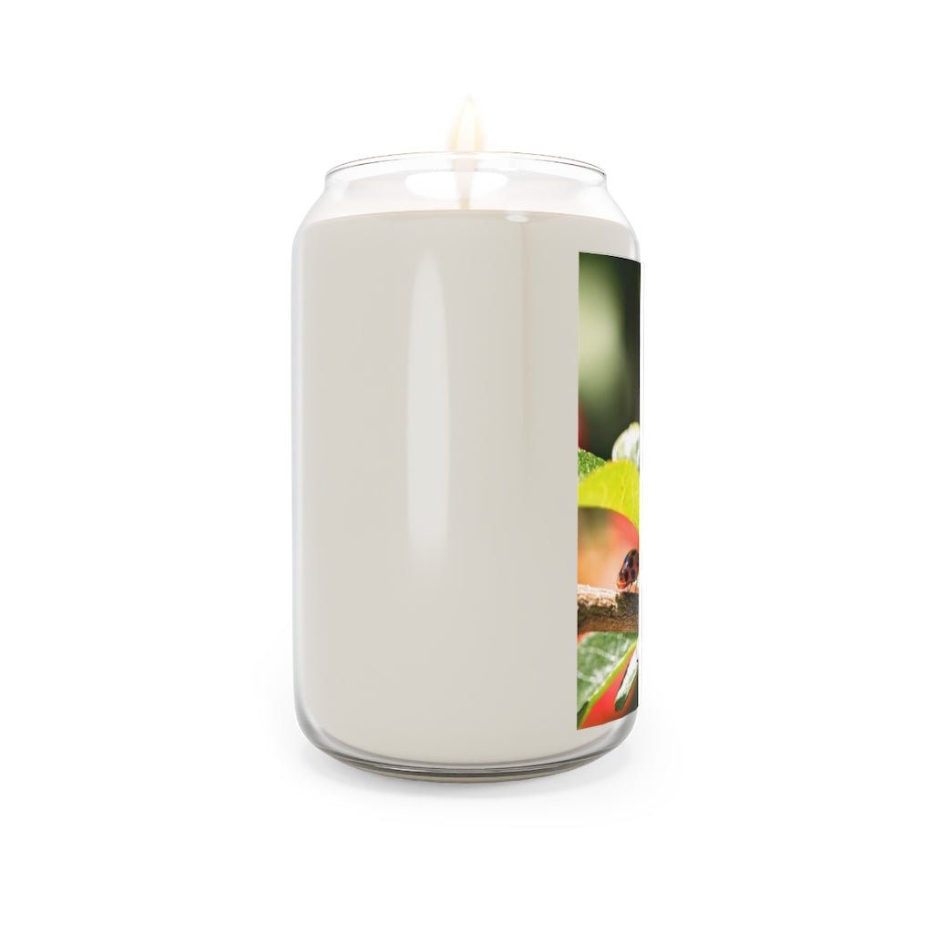 Spotted Investigation - Scented Candle, 13.75oz - Visiting This World