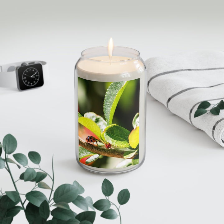 Spotted Investigation - Scented Candle, 13.75oz - Visiting This World