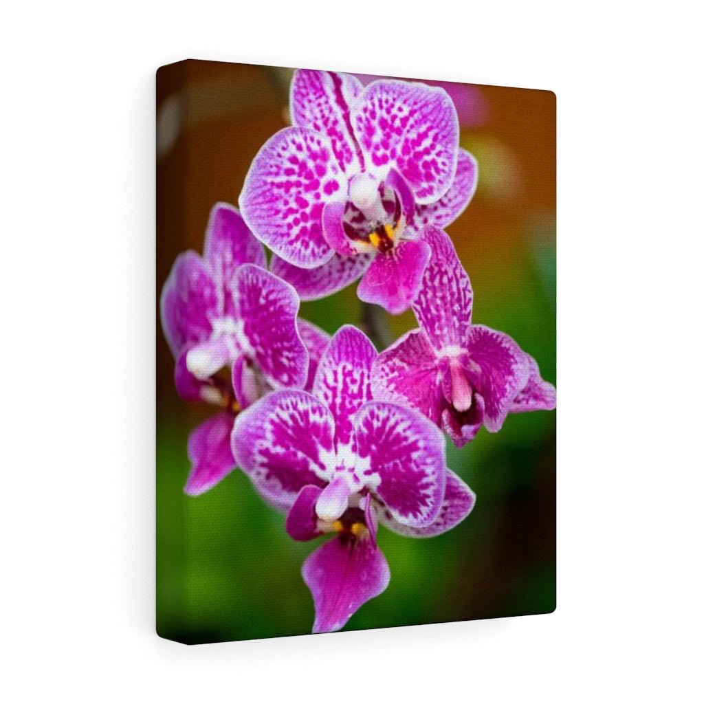 Spotted Orchid - Canvas - Visiting This World