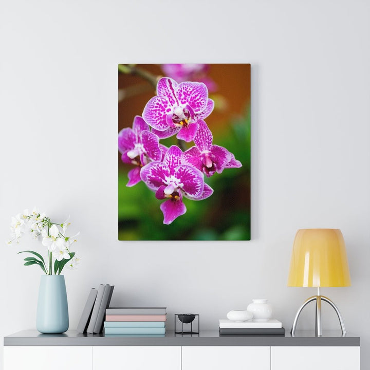 Spotted Orchid - Canvas - Visiting This World