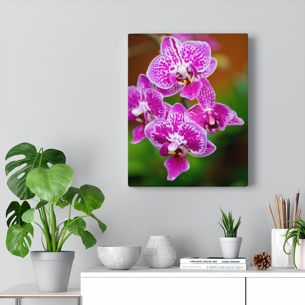 Spotted Orchid - Canvas - Visiting This World