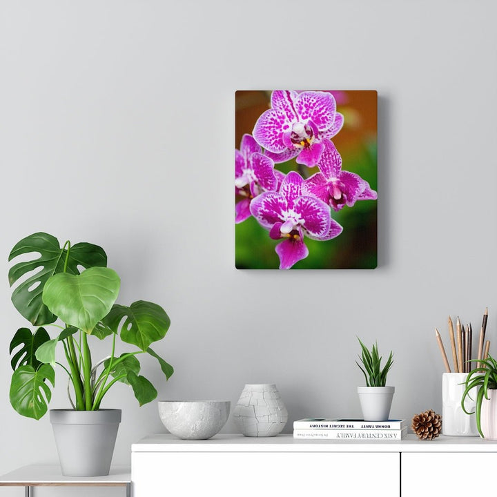 Spotted Orchid - Canvas - Visiting This World