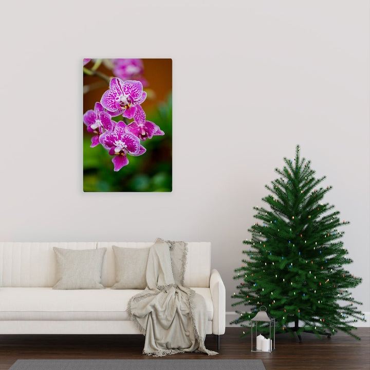 Spotted Orchid - Canvas - Visiting This World