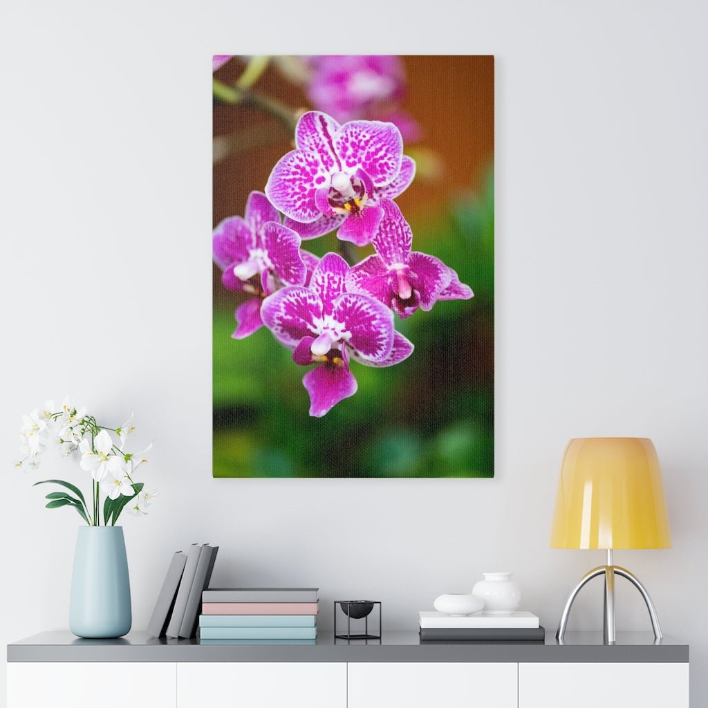 Spotted Orchid - Canvas - Visiting This World