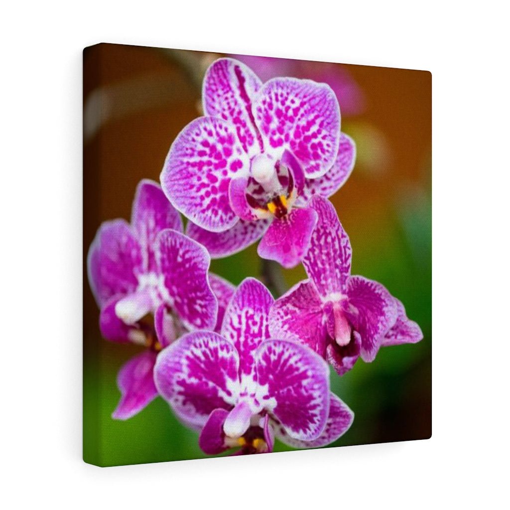 Spotted Orchid - Canvas - Visiting This World