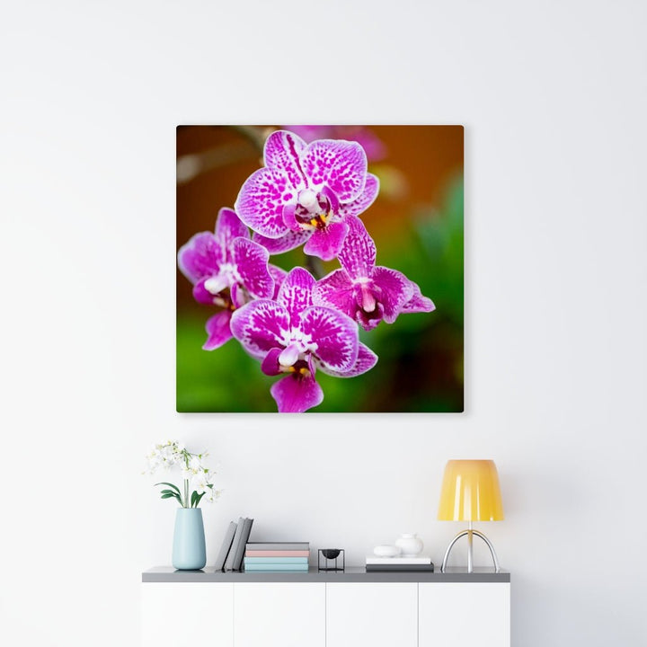 Spotted Orchid - Canvas - Visiting This World