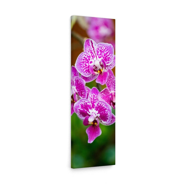 Spotted Orchid - Canvas - Visiting This World