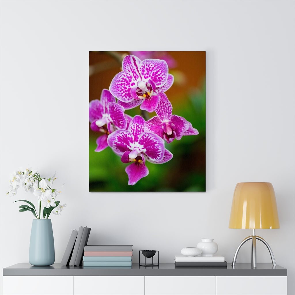 Spotted Orchid - Canvas - Visiting This World