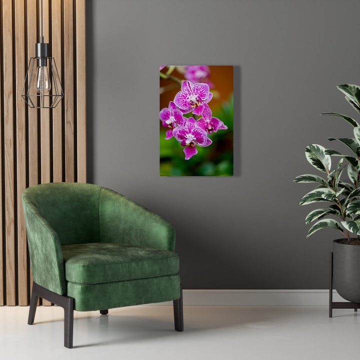 Spotted Orchid - Canvas - Visiting This World