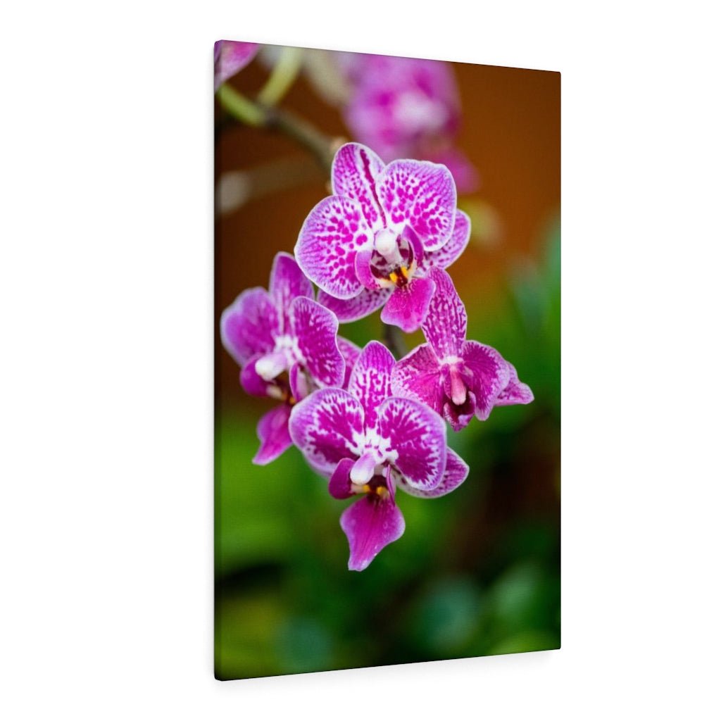 Spotted Orchid - Canvas - Visiting This World