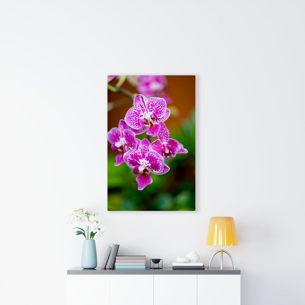 Spotted Orchid - Canvas - Visiting This World