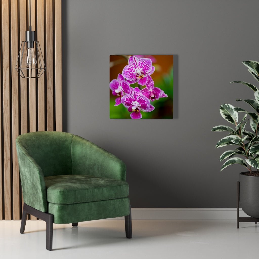 Spotted Orchid - Canvas - Visiting This World