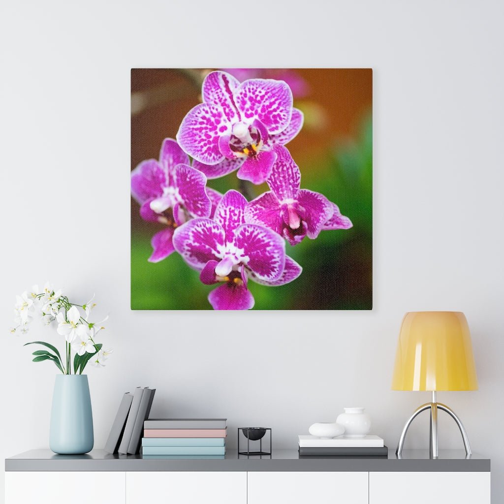 Spotted Orchid - Canvas - Visiting This World