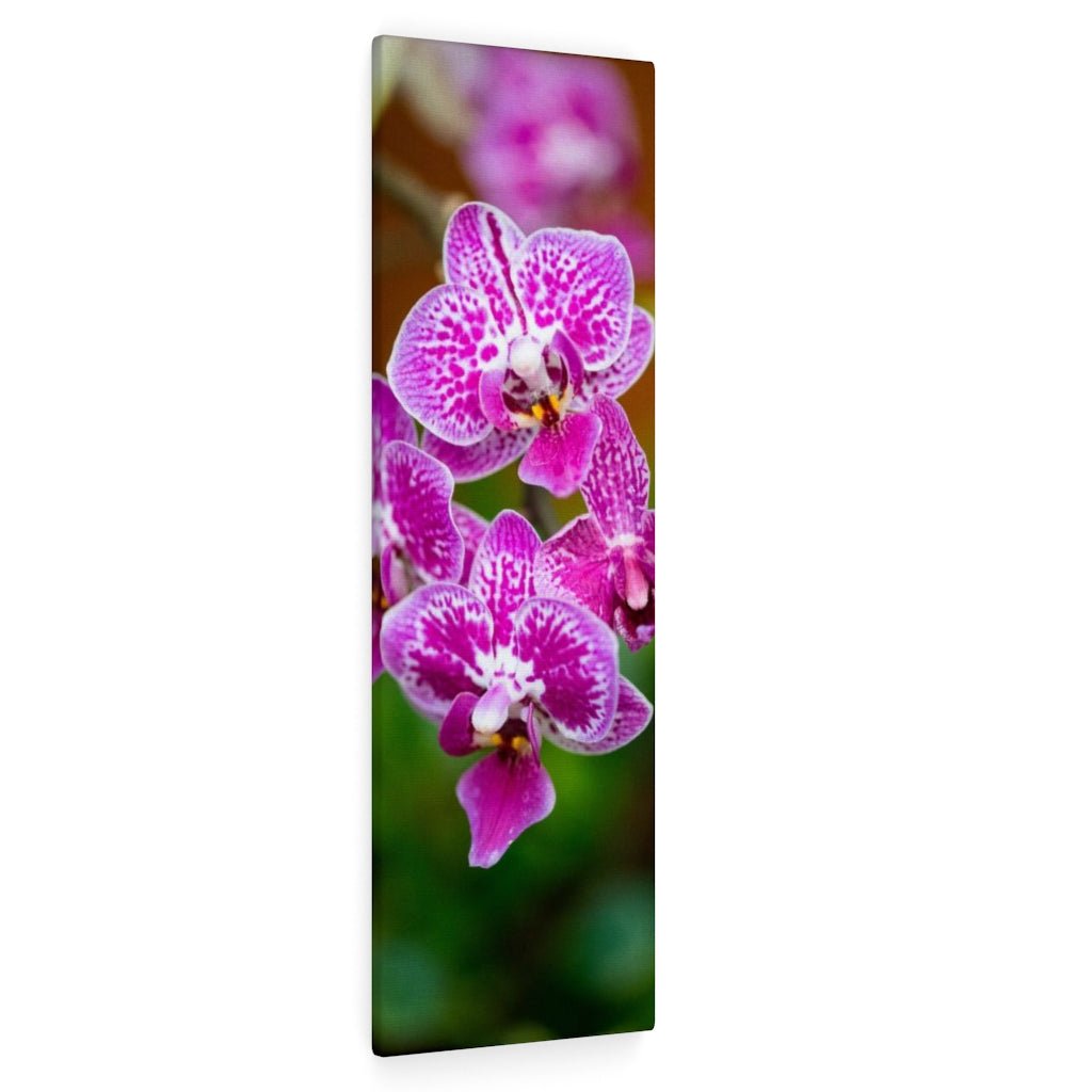 Spotted Orchid - Canvas - Visiting This World