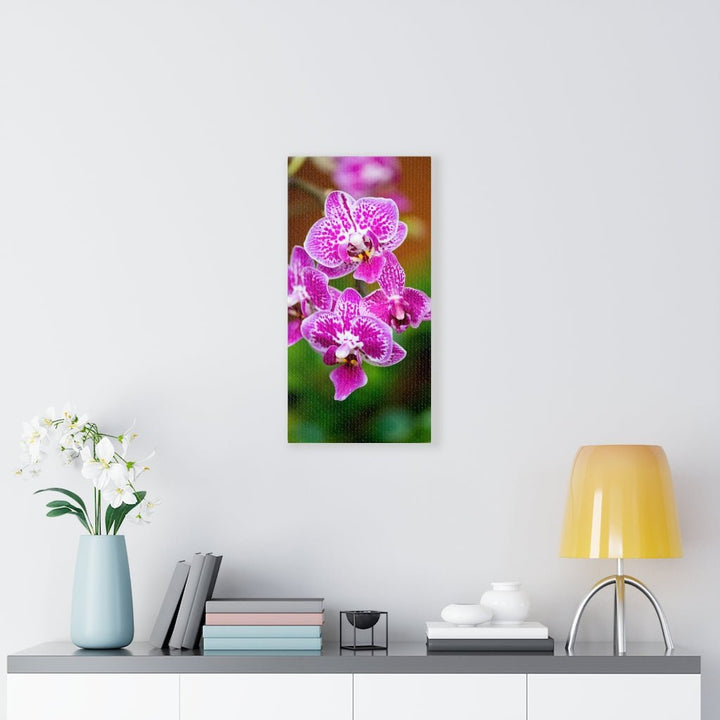 Spotted Orchid - Canvas - Visiting This World