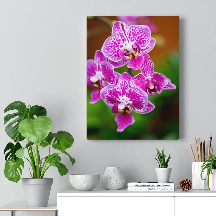 Spotted Orchid - Canvas - Visiting This World