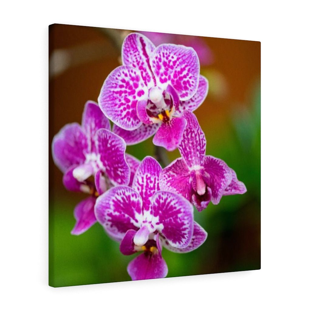 Spotted Orchid - Canvas - Visiting This World