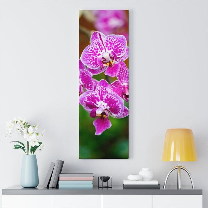 Spotted Orchid - Canvas - Visiting This World