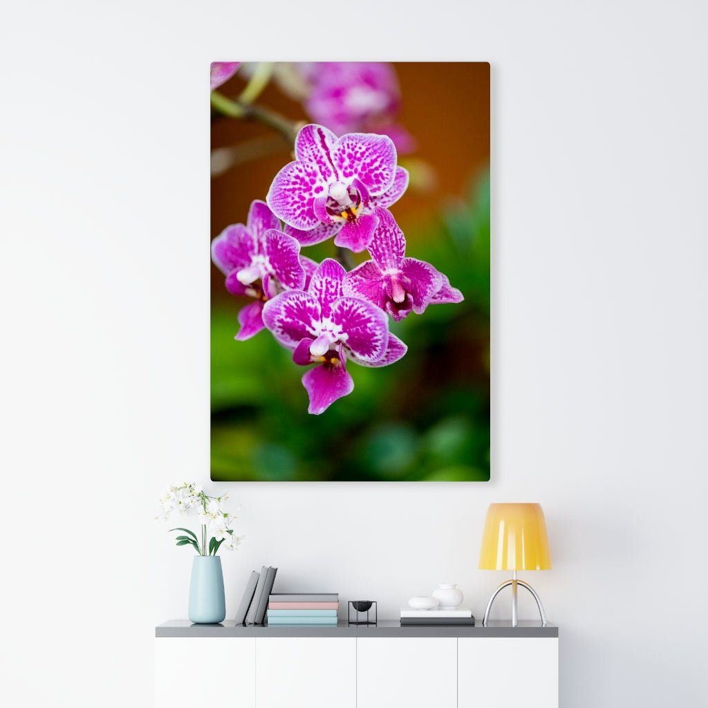 Spotted Orchid - Canvas - Visiting This World