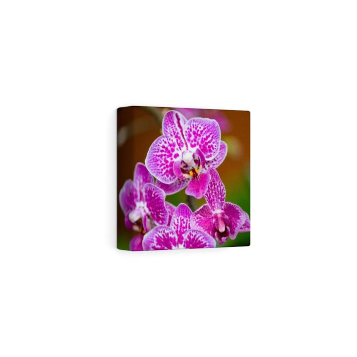 Spotted Orchid - Canvas - Visiting This World