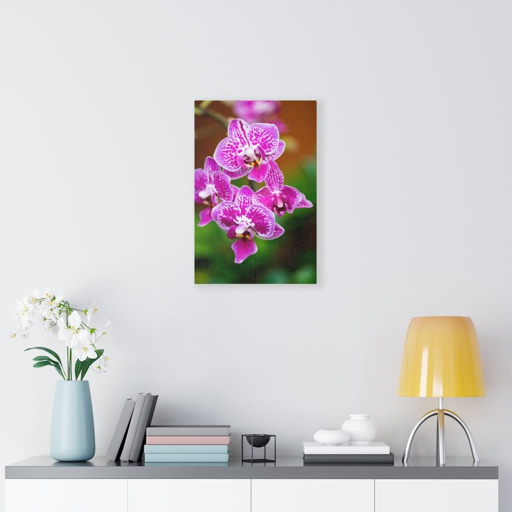 Spotted Orchid - Canvas - Visiting This World