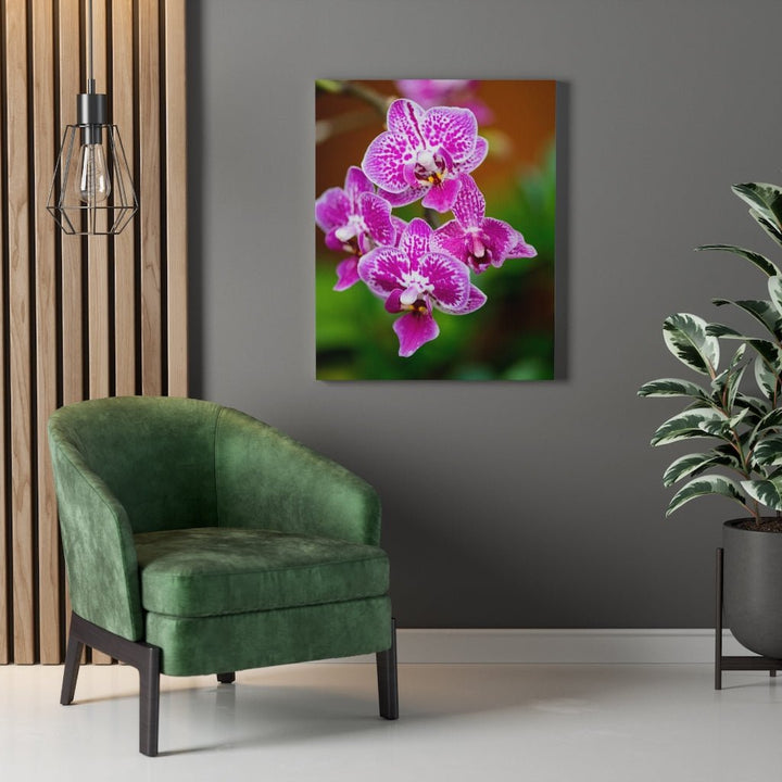 Spotted Orchid - Canvas - Visiting This World