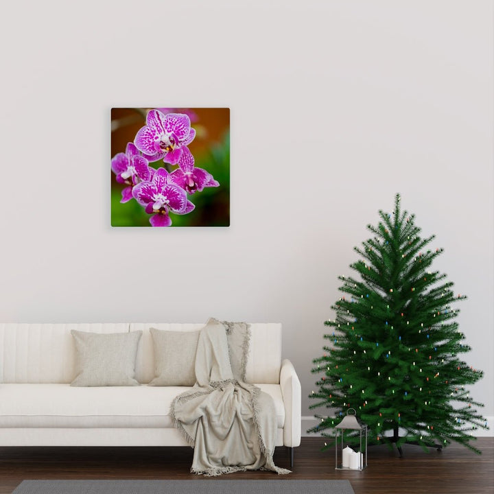 Spotted Orchid - Canvas - Visiting This World