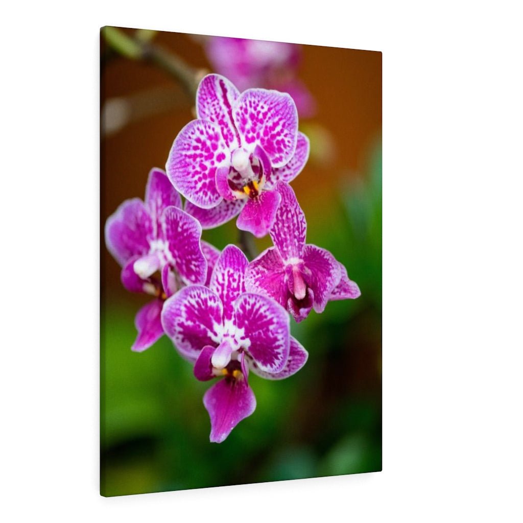 Spotted Orchid - Canvas - Visiting This World