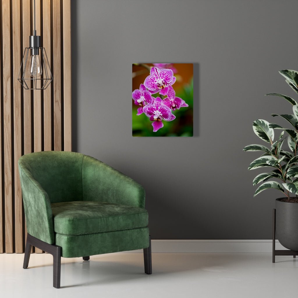 Spotted Orchid - Canvas - Visiting This World