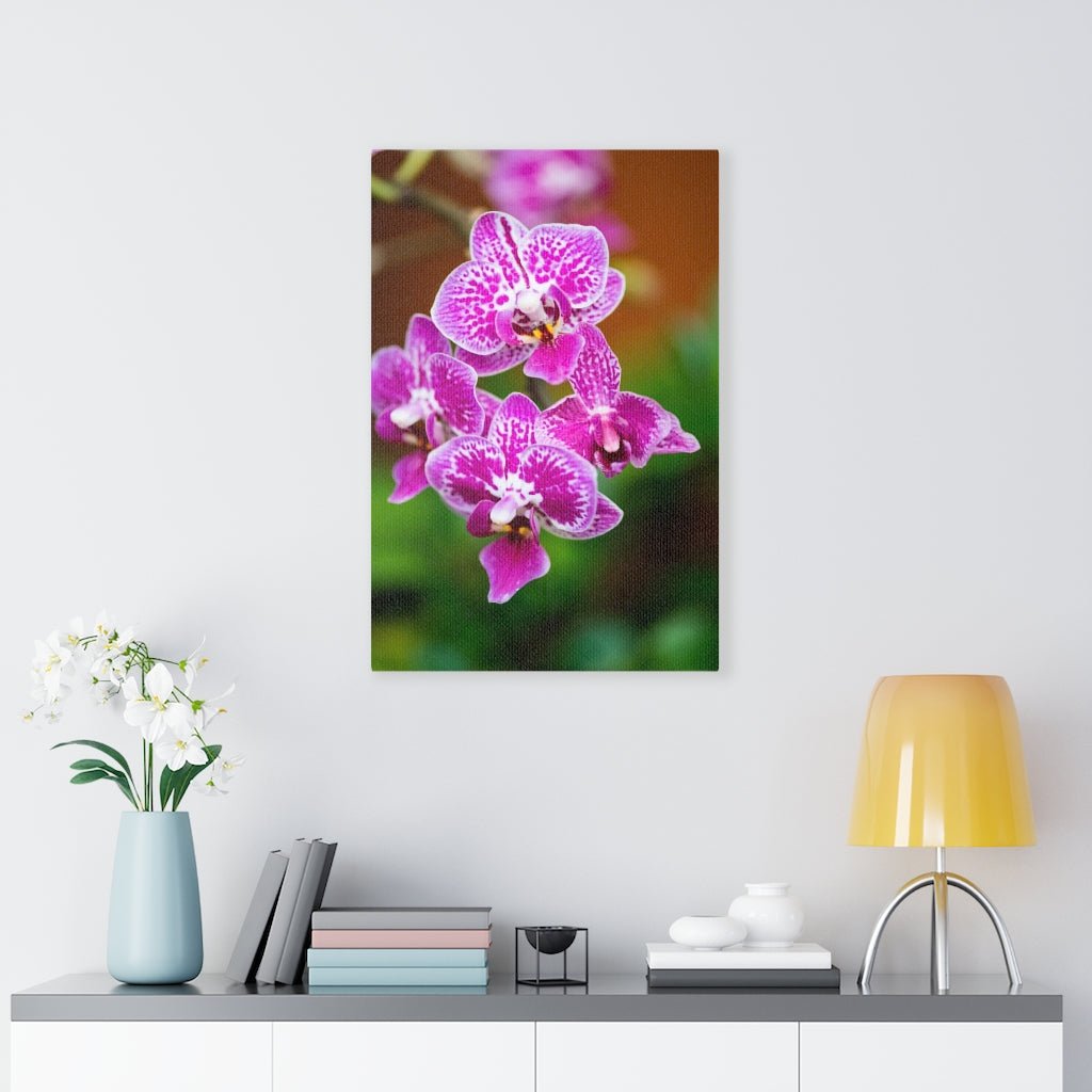 Spotted Orchid - Canvas - Visiting This World