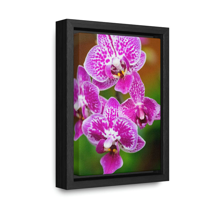 Spotted Orchid - Canvas with Frame - Visiting This World