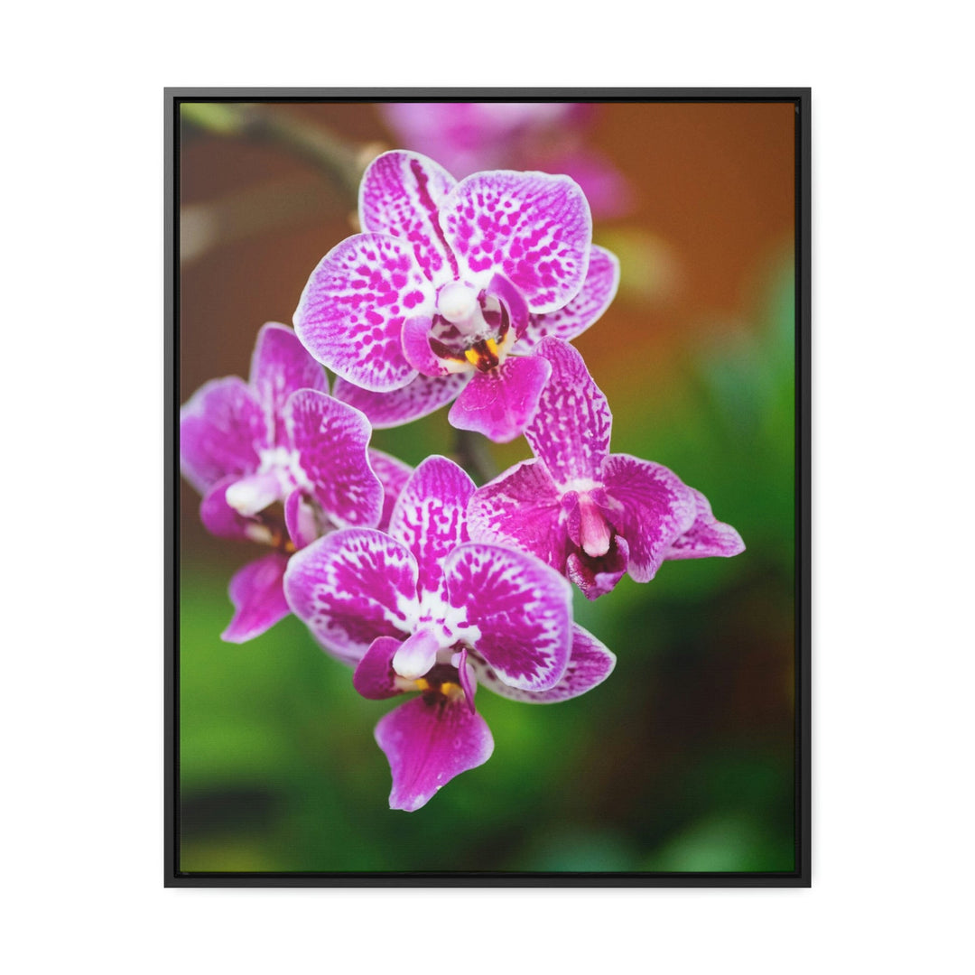 Spotted Orchid - Canvas with Frame - Visiting This World