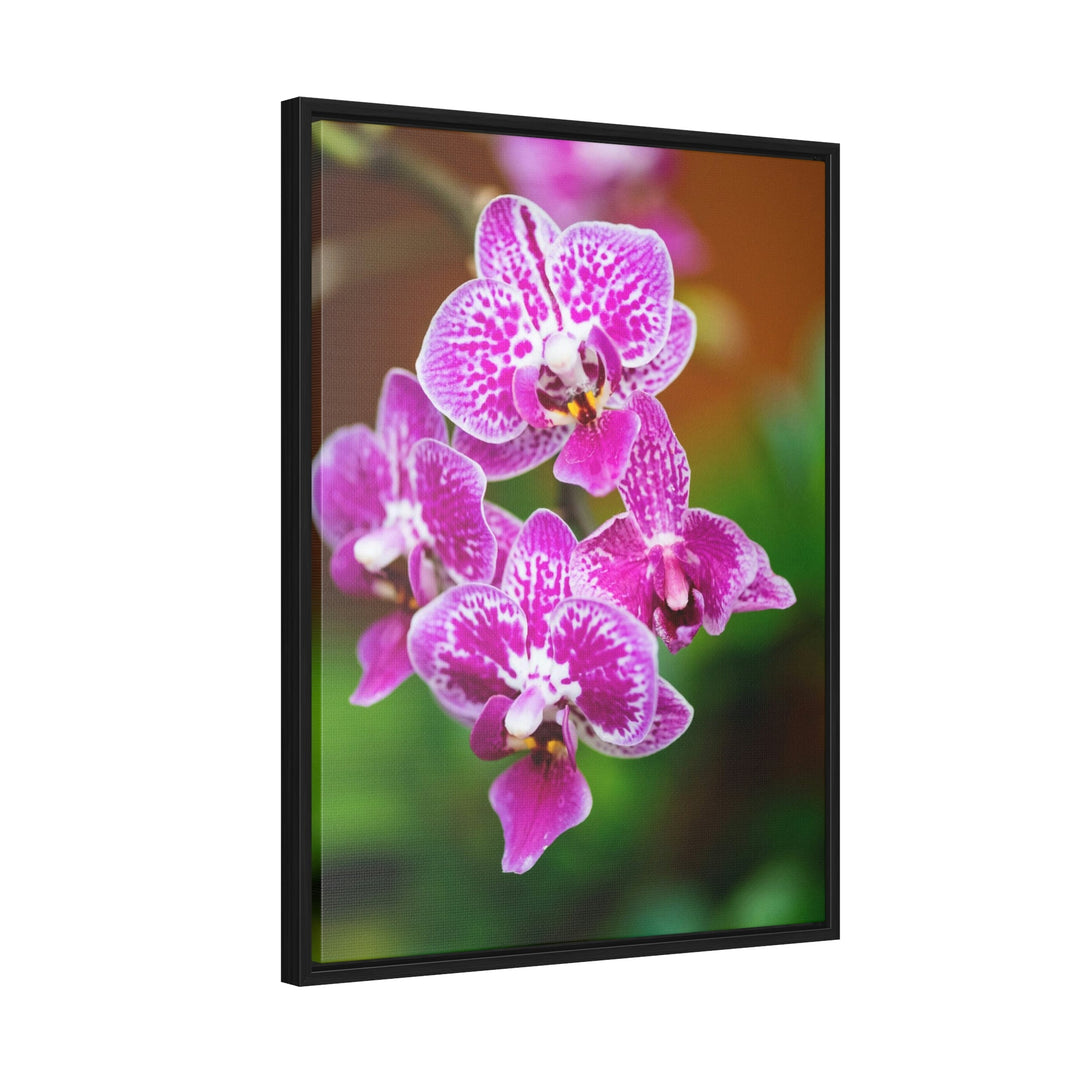 Spotted Orchid - Canvas with Frame - Visiting This World