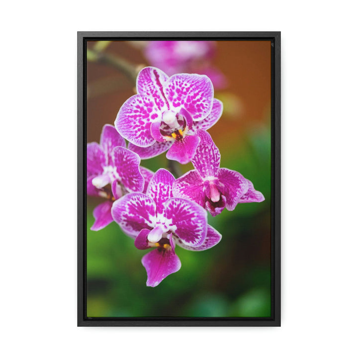 Spotted Orchid - Canvas with Frame - Visiting This World