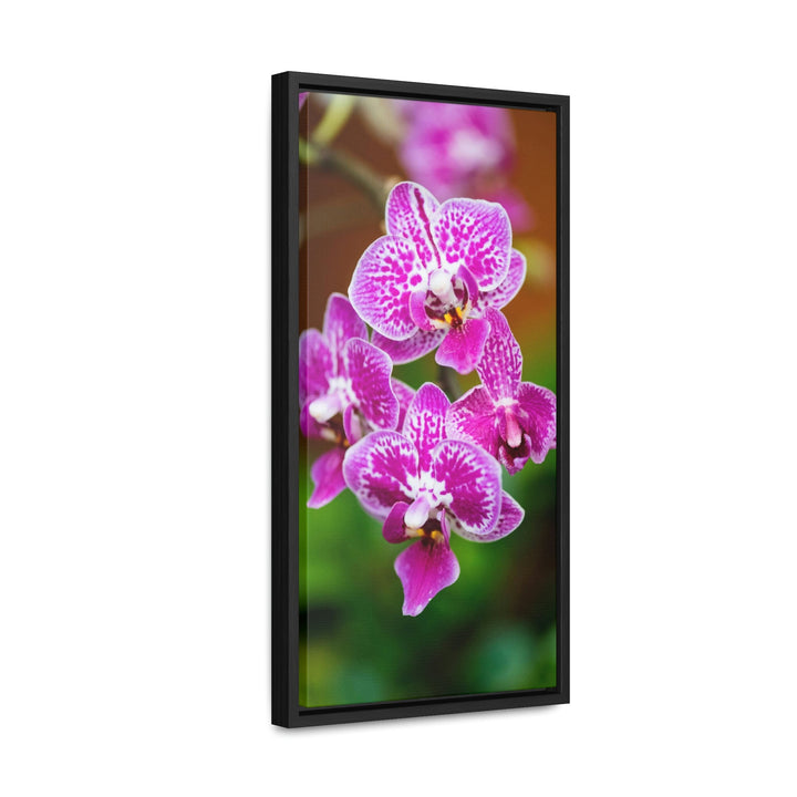 Spotted Orchid - Canvas with Frame - Visiting This World