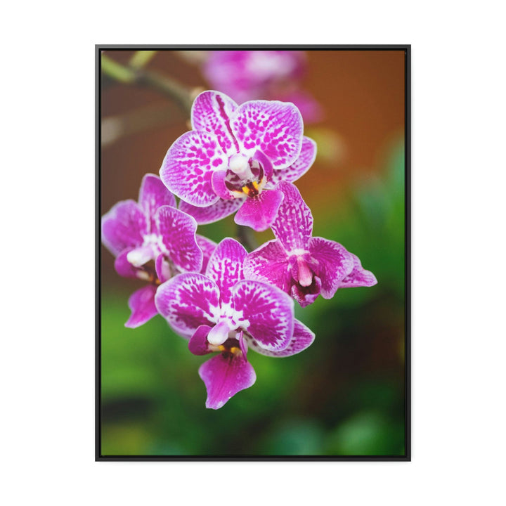 Spotted Orchid - Canvas with Frame - Visiting This World